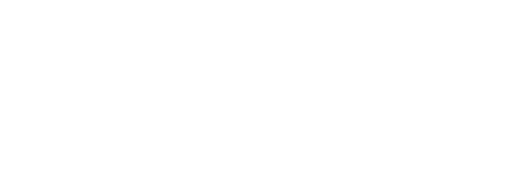 NMB Logo